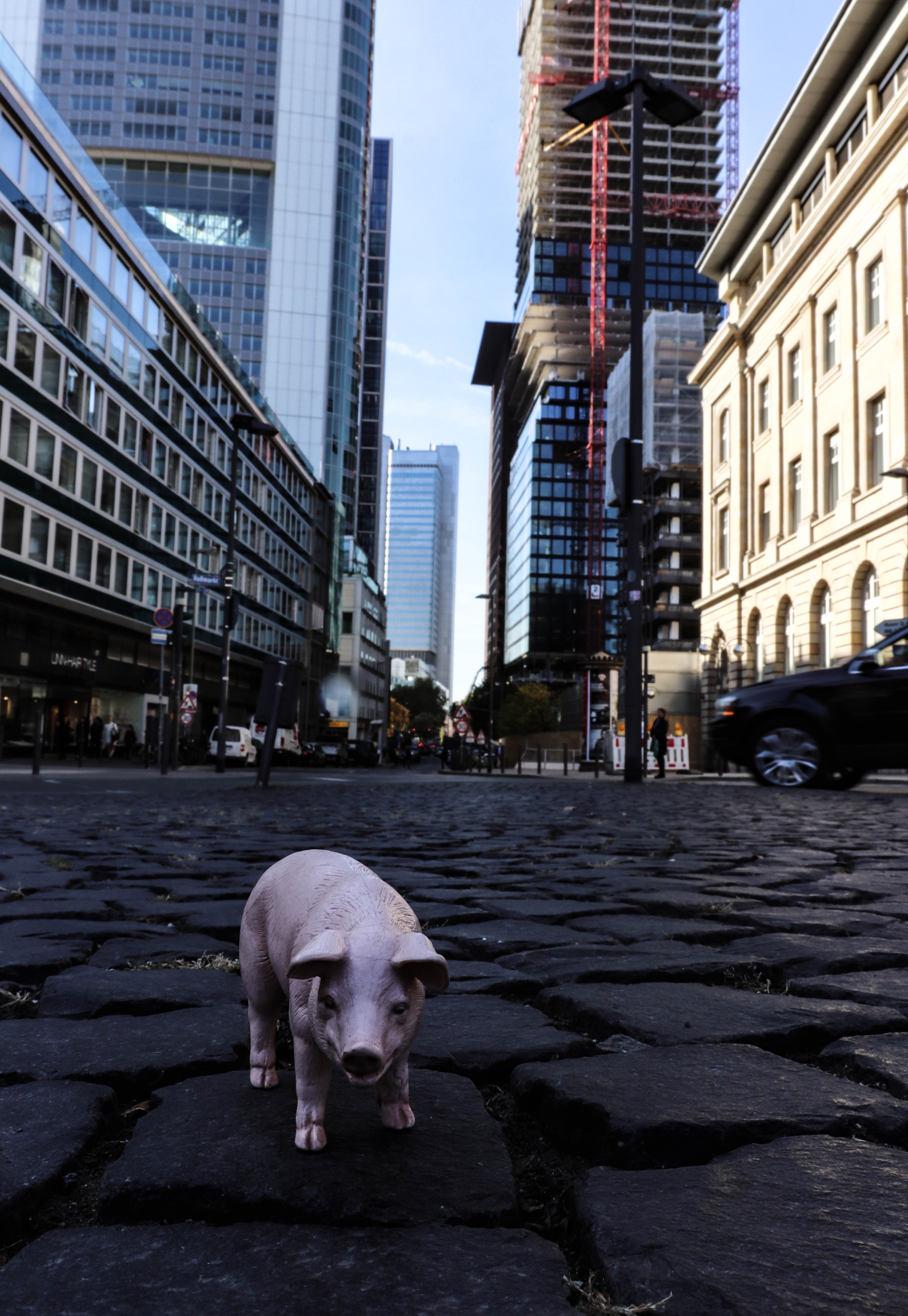 Porki #7 in der Mainmetropole