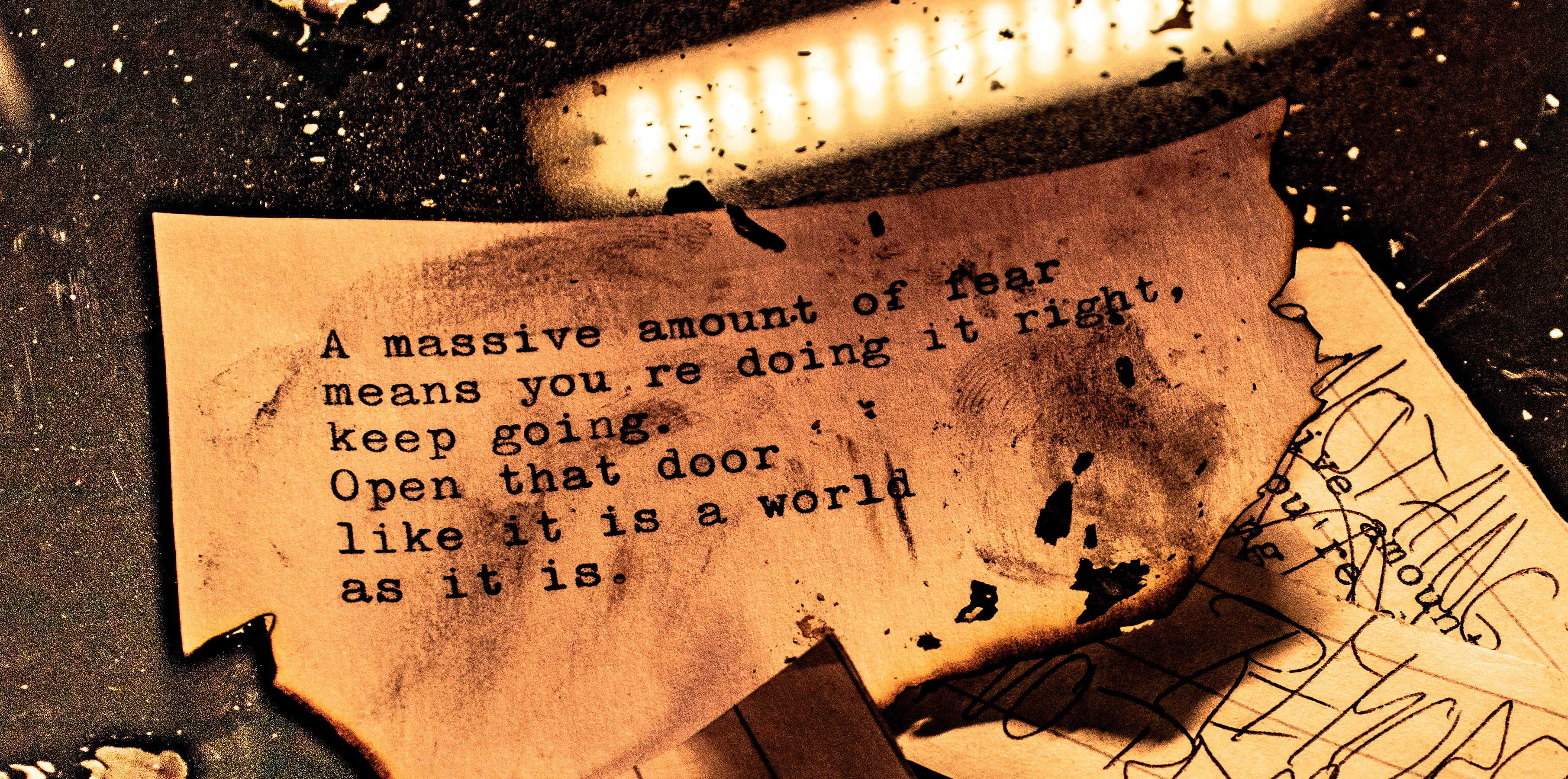 Porki #10 auf dem Weg in den Wahnsinn