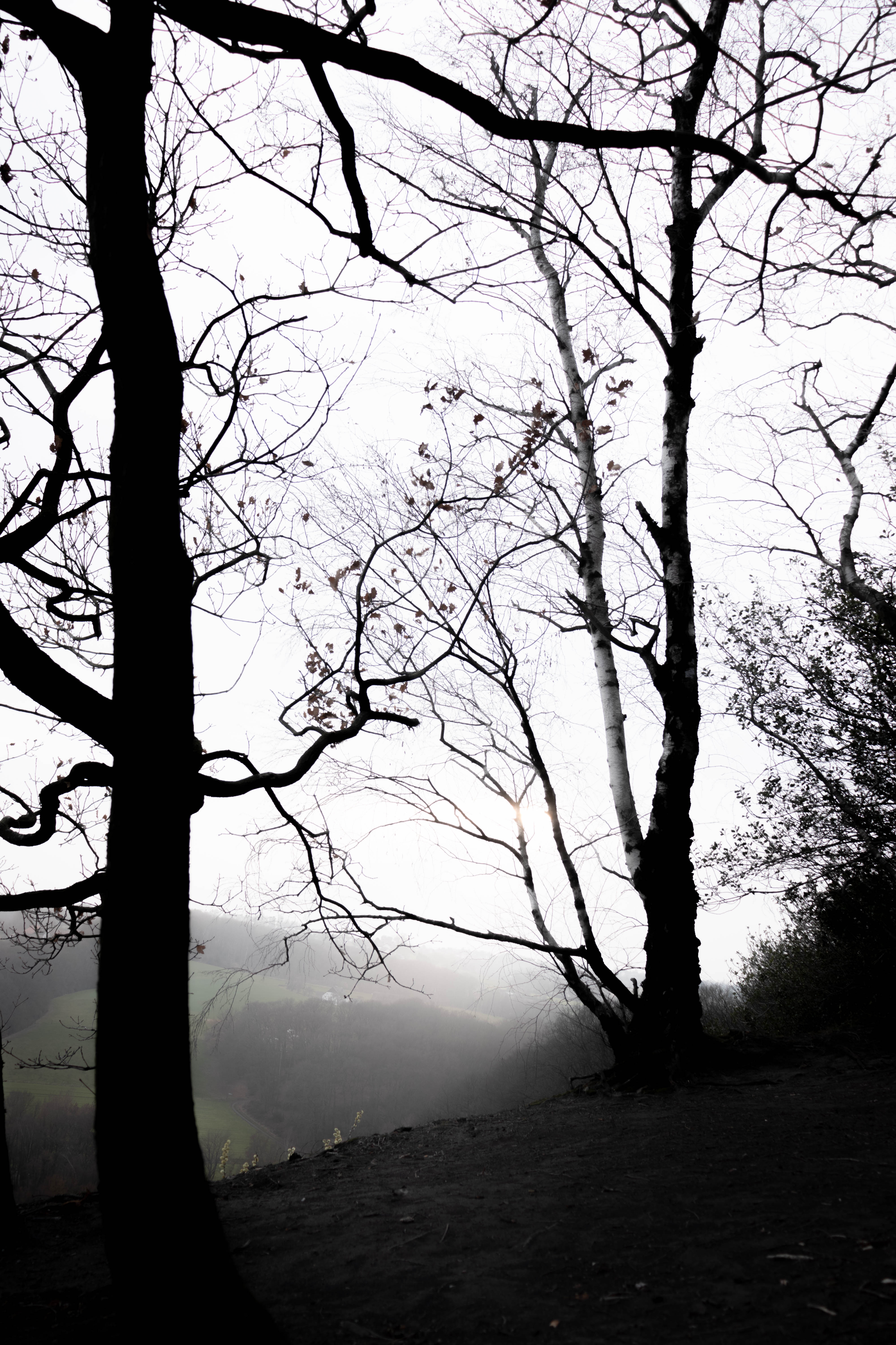 Porki #15 und ein alter Steinbruch