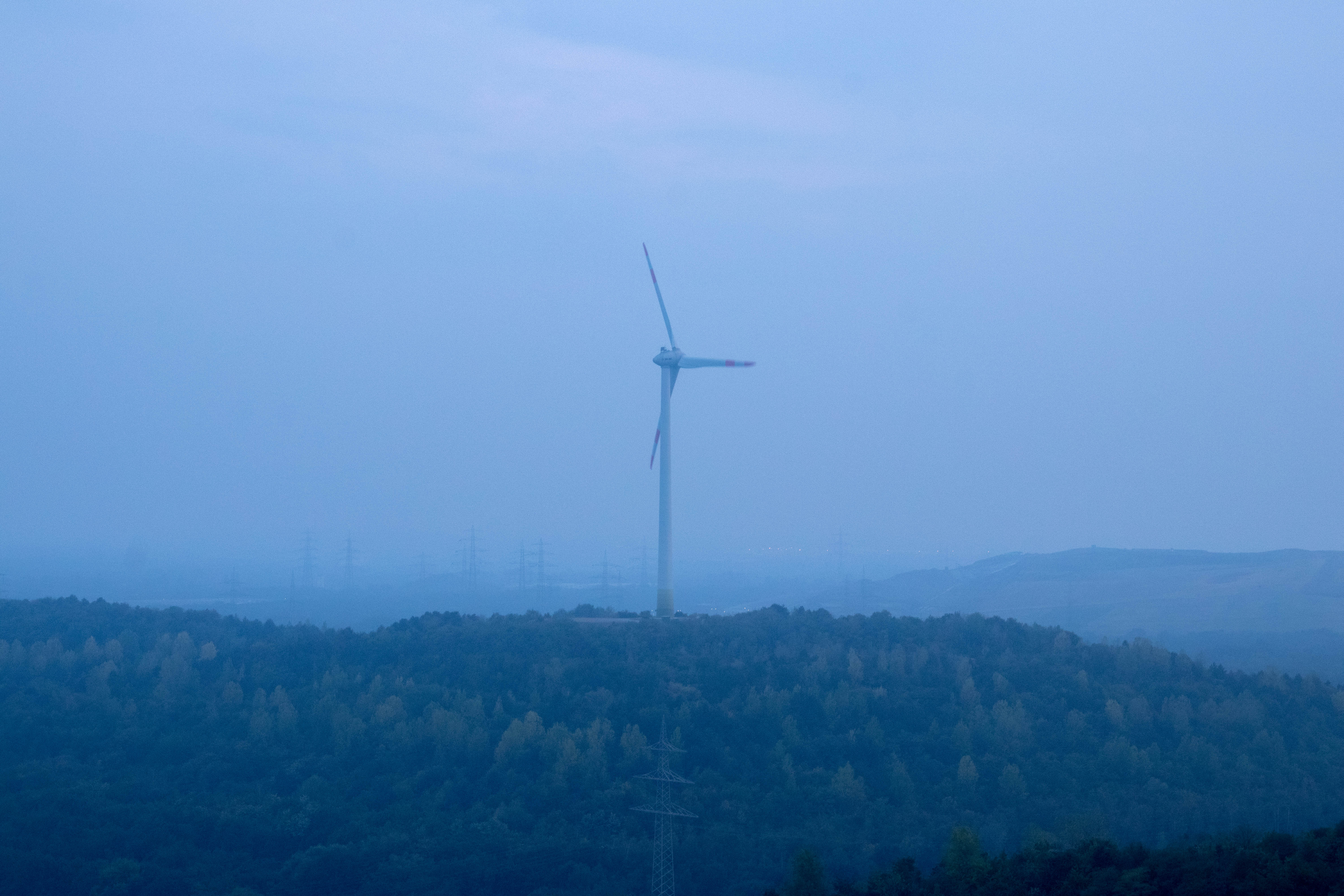 Porki #20 und der Dunst