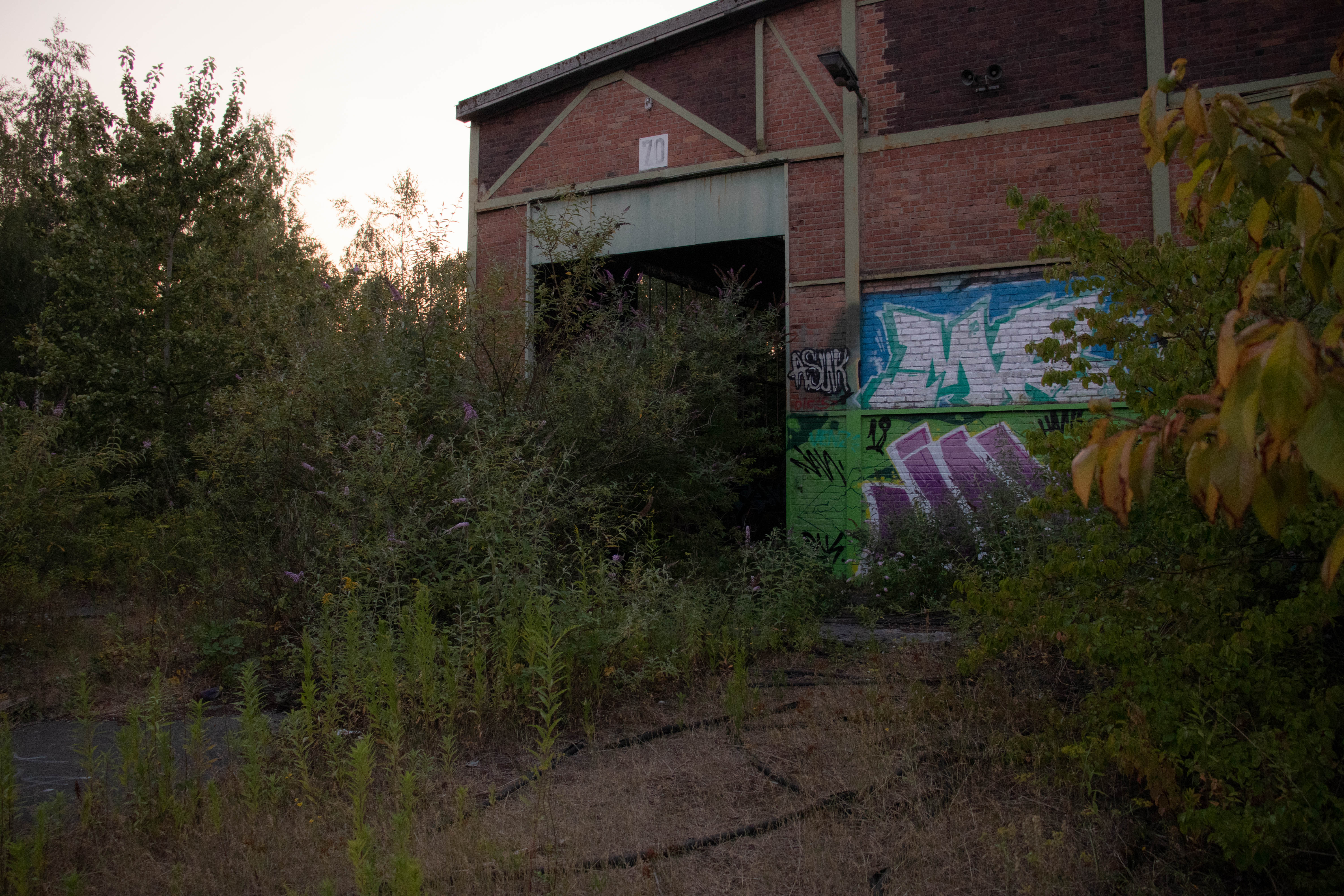 Porki #21 und der Doch-Nicht-Ringlockschuppen