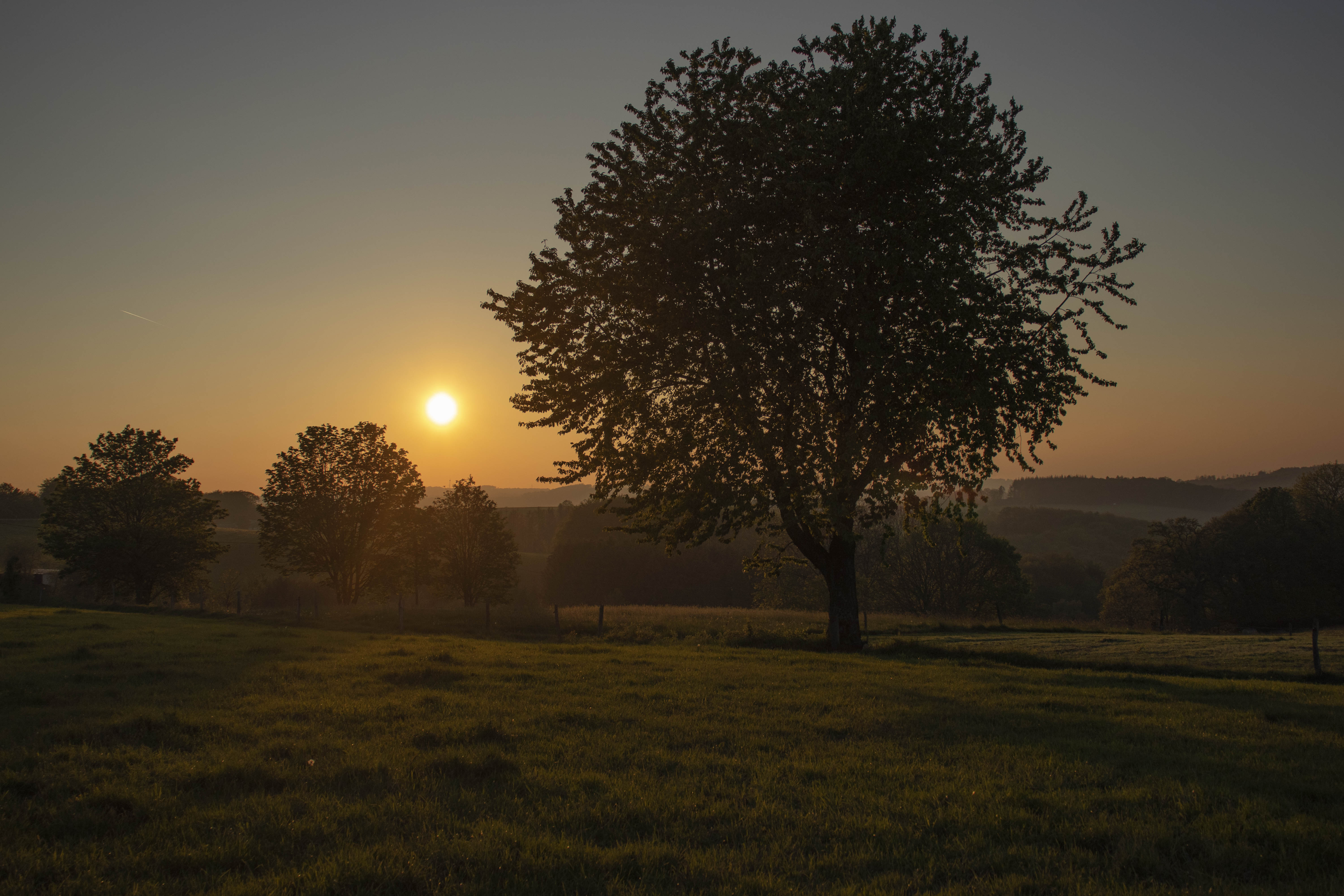 Porki #46 und die falsche Bundesstraße
