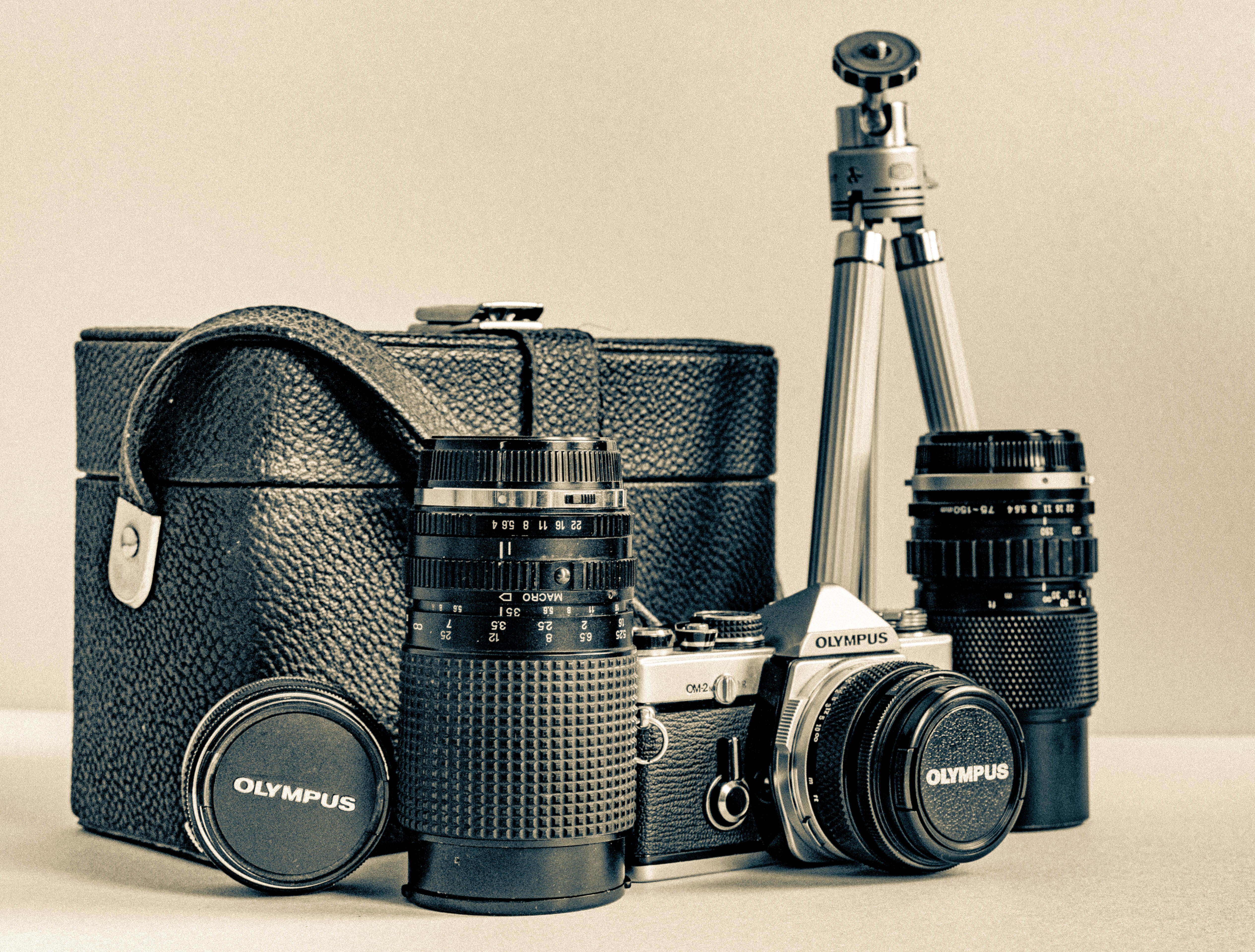 Porki #54 und zwei Dekaden zur Fotografie